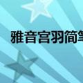 雅音宫羽简笔画（雅音宫羽为什么消失了）
