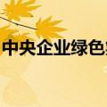 中央企业绿色氢能制储运创新联合体正式启动