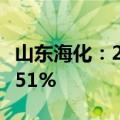 山东海化：2024年上半年净利润同比下降35.51%