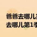 爸爸去哪儿第1季在线观看完整版视频（爸爸去哪儿第1季）