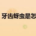 牙齿蚜虫是怎么产生的（牙齿蚜虫是什么虫）