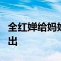 全红婵给妈妈买手机：要最好的！店员一眼认出
