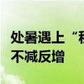 处暑遇上“秋老虎”，河南西北部、南部暑热不减反增