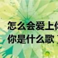 怎么会爱上你是什么歌曲的歌词（怎么会爱上你是什么歌）