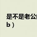 是不是老公的小烧杯街访（是不是老公的小sb）