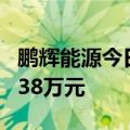 鹏辉能源今日20CM涨停 二机构净买入4978.38万元