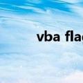 vba flag（vb中flag是什么意思）