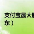 支付宝最大股东是工商银行吗（支付宝最大股东）
