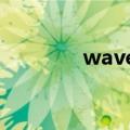 wave 教程（wavecn教程）