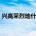 兴高采烈地什么填空词语（兴高采烈地什么）