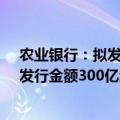 农业银行：拟发行年内第一期TLAC非资本债（债券通），发行金额300亿元