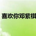 喜欢你邓紫棋歌词翻译（喜欢你邓紫棋歌词）