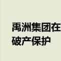 禹洲集团在纽约依据美国破产法第15章申请破产保护