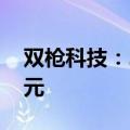 双枪科技：2024年上半年净利润1334.68万元