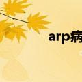 arp病毒中毒现象（arp病毒）