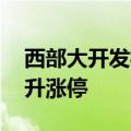 西部大开发概念股异动走高 西部建设直线拉升涨停