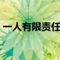 一人有限责任公司章程（一人有限责任公司）