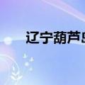 辽宁葫芦岛强降雨10人遇难14人失联