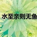 水至亲则无鱼人至察则无徒（人至察则无徒）