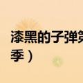 漆黑的子弹第二季还会出吗（漆黑的子弹第二季）