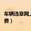 车辆违章网上缴费怎么操作（车辆违章网上缴费）