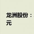 龙洲股份：2024年上半年净亏损3401.62万元