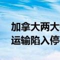 加拿大两大铁路公司停运仍在继续 大量货物运输陷入停顿