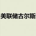 美联储古尔斯比：美联储始终会考虑所有选项