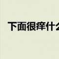 下面很痒什么原因（下面很痒用什么洗啊）