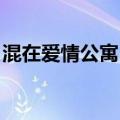 混在爱情公寓 小说（混在爱情公寓的神外挂）