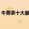 牛蒡茶十大最佳搭配（牛蒡茶可以天天喝吗）