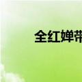 全红婵带火小乌龟后义乌厂家乐了