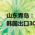 山东青岛：泡菜出口价格涨近三成 今年或向韩国出口30万吨
