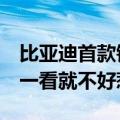 比亚迪首款钢炮！海豹06GT官图公布：尾灯一看就不好惹