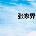 张家界千米高空走扁带太刺激了