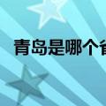 青岛是哪个省市的城市啊（青岛是哪个省）