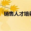销售人才培养计划怎么写（销售人才培养）