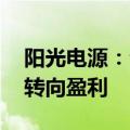 阳光电源：公司氢能业务预计4—5年后逐步转向盈利