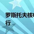 罗斯托夫核电站1号机组故障已修复并投入运行