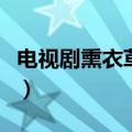 电视剧熏衣草在哪里才可以看（电视剧熏衣草）