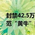 封禁42.5万个风险账号 国家博物馆多举措防范“黄牛”抢票