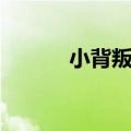小背叛是什么意思啊（小背叛）