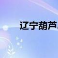 辽宁葫芦岛建昌县进入灾后重建阶段
