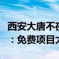 西安大唐不夜城半年仅赚23.53万元 业内人士：免费项目太多