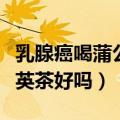 乳腺癌喝蒲公英茶好吗能喝吗（乳腺癌喝蒲公英茶好吗）