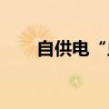 自供电“虫子”可掠过水面探测数据