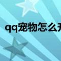 qq宠物怎么升级快一点（qq宠物怎么升级）