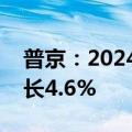 普京：2024年上半年俄罗斯国内生产总值增长4.6%
