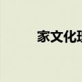 家文化理念八个字（家文化理念）