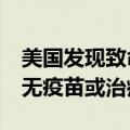美国发现致命病毒，4城镇紧急夜间封锁！尚无疫苗或治疗方法